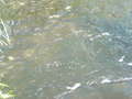 RA Camping 2007-08-24_17-32-25.jpg